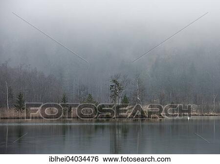 "Foggy atmosphere on Almsee lake, Grunau, Almtal, Salzkammergut, Upper Austria, Austria, Europe" View Large Photo Image Stock Photograph - "Foggy atmosphere on Almsee lake, Grunau, Almtal, Salzkammergut, Upper Austria, Austria, Europe". Fotosearch