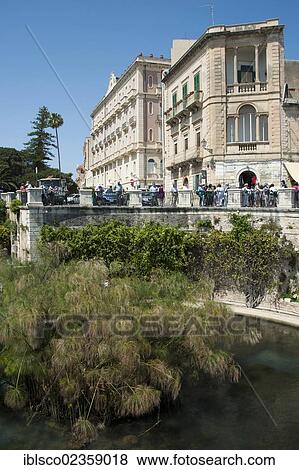 "Font of Arethusa with papyrus, Siracusa, Syracuse, Ortigia, Ortygia Island, Sicily, Italy, Europe" View Large Photo Image Stock Photo - "Font of Arethusa with papyrus, Siracusa, Syracuse, Ortigia, Ortygia Island, Sicily, Italy, Europe". Fotosearch
