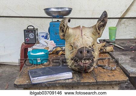 "Food stall, pig's head on table, Otavalo market, Otavalo, Imbabura Province, Ecuador, South America" View Large Photo Image Stock Photograph - "Food stall, pig's head on table, Otavalo market, Otavalo, Imbabura Province, Ecuador, South America". Fotosearch
