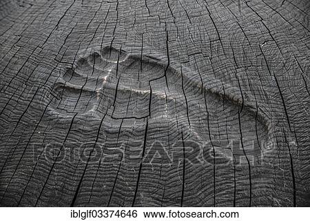Stock Photograph - "Footprint carved in wood on the pier, Zingst, Fischland-Darss-Zingst, Mecklenburg-Western Pomerania, Germany, Europe". Fotosearch