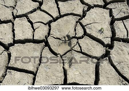 "Footprint in dry, cracked mud in the Wadden, Lower Saxon Wadden Sea National Park, Jever, Lower Saxony, Germany, Europe" View Large Photo Image Stock Photo - "Footprint in dry, cracked mud in the Wadden, Lower Saxon Wadden Sea National Park, Jever, Lower Saxony, Germany, Europe". Fotosearch