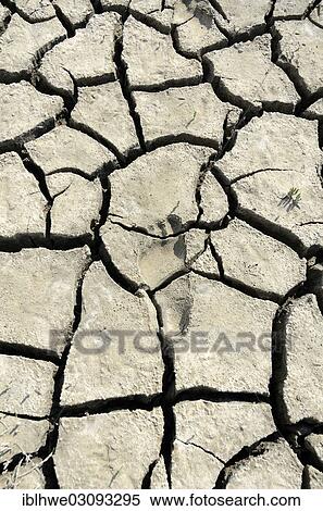 "Footprint in dry, cracked mud in the Wadden, Lower Saxon Wadden Sea National Park, Jever, Lower Saxony, Germany, Europe" View Large Photo Image Stock Photography - "Footprint in dry, cracked mud in the Wadden, Lower Saxon Wadden Sea National Park, Jever, Lower Saxony, Germany, Europe". Fotosearch