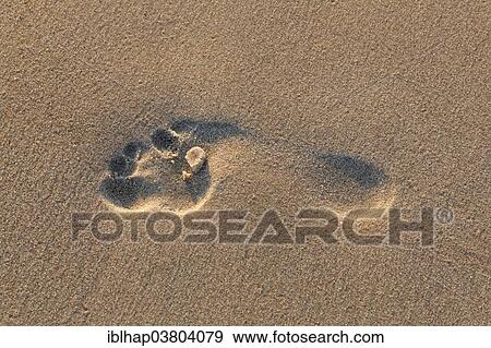 "Footprint in the sand, Germany, Europe" View Large Photo Image Stock Photo - "Footprint in the sand, Germany, Europe". Fotosearch
