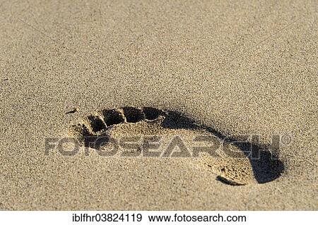 "Footprint in the wet sand, beach, Spain, Europe" View Large Photo Image Stock Photo - "Footprint in the wet sand, beach, Spain, Europe". Fotosearch