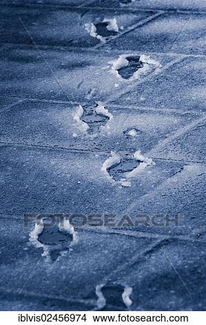Footprints in snow View Large Photo Image Picture - Footprints in snow. Fotosearch
