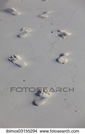 "Footprints in the sand, Indian Ocean, Male, North Male Atoll, Maldives, Asia" View Large Photo Image Picture - "Footprints in the sand, Indian Ocean, Male, North Male Atoll, Maldives, Asia". Fotosearch