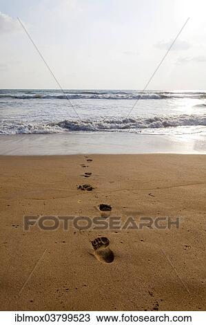 "Footprints leading into the sea near Waskaduwa, Western Province, Sri Lanka, Asia" View Large Photo Image Stock Image - "Footprints leading into the sea near Waskaduwa, Western Province, Sri Lanka, Asia". Fotosearch