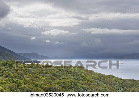 "Forest along the coast, Dilek National Park, Kusadasi, Aydin province, Aegean region, Turkey, Asia" View Large Photo Image Stock Photography - "Forest along the coast, Dilek National Park, Kusadasi, Aydin province, Aegean region, Turkey, Asia". Fotosearch