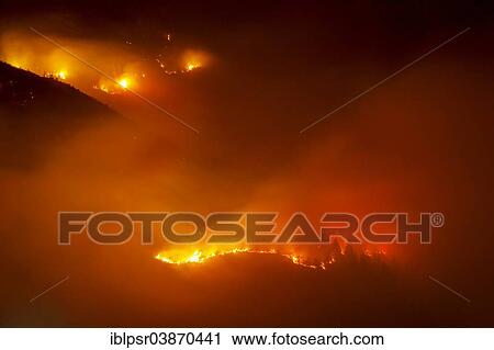 "Forest fire on Mt Hochmahdkopf, Tyrol, Austria, Europe" View Large Photo Image Stock Image - "Forest fire on Mt Hochmahdkopf, Tyrol, Austria, Europe". Fotosearch