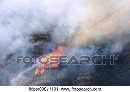 "Forest fire on Mt Hochmahdkopf, Tyrol, Austria, Europe" View Large Photo Image Stock Image - "Forest fire on Mt Hochmahdkopf, Tyrol, Austria, Europe". Fotosearch