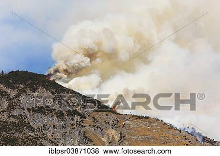 "Forest fire on Mt Hochmahdkopf, Tyrol, Austria, Europe" View Large Photo Image Stock Photo - "Forest fire on Mt Hochmahdkopf, Tyrol, Austria, Europe". Fotosearch