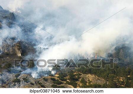 "Forest fire on Mt Hochmahdkopf, Tyrol, Austria, Europe" View Large Photo Image Stock Photography - "Forest fire on Mt Hochmahdkopf, Tyrol, Austria, Europe". Fotosearch