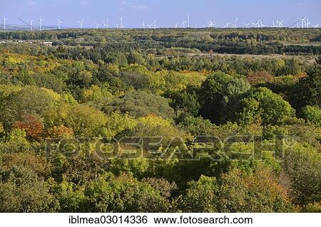 "Forest in autumn, Hainich National Park, Hainich, Bad Langensalza, Thuringia, Germany, Europe" View Large Photo Image Stock Photograph - "Forest in autumn, Hainich National Park, Hainich, Bad Langensalza, Thuringia, Germany, Europe". Fotosearch