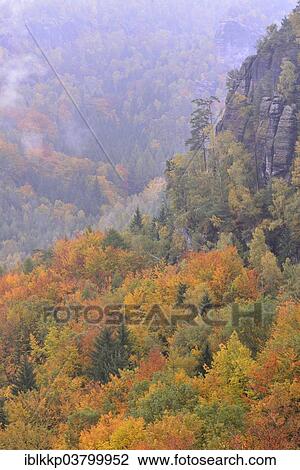 Stock Image - "Forest in the Nasser Grund in fog in autumn, in the Elbe Sandstone Mountains, Saxon Switzerland, Bad Schandau, Saxony, Germany, Europe". Fotosearch