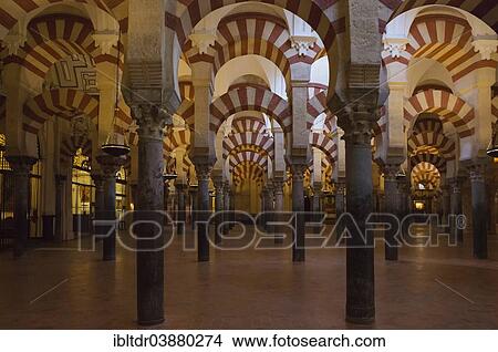 Picture - "Forest of Pillars inside the Mezquita, Cordoba, Cordoba province, Andalusia, Spain, Europe". Fotosearch