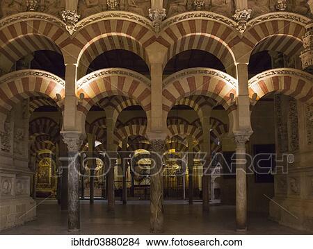Picture - "Forest of Pillars inside the Mezquita, Cordoba, Cordoba province, Andalusia, Spain, Europe". Fotosearch