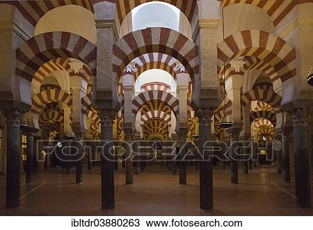 "Forest of Pillars inside the Mezquita, Cordoba, Cordoba province, Andalusia, Spain, Europe" View Large Photo Image Stock Image - "Forest of Pillars inside the Mezquita, Cordoba, Cordoba province, Andalusia, Spain, Europe". Fotosearch