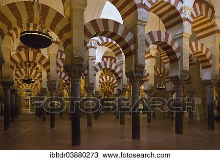 "Forest of Pillars inside the Mezquita, Cordoba, Cordoba province, Andalusia, Spain, Europe" View Large Photo Image Stock Image - "Forest of Pillars inside the Mezquita, Cordoba, Cordoba province, Andalusia, Spain, Europe". Fotosearch