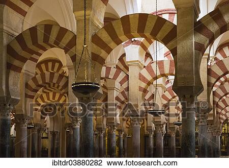 "Forest of Pillars inside the Mezquita, Cordoba, Cordoba province, Andalusia, Spain, Europe" View Large Photo Image Stock Image - "Forest of Pillars inside the Mezquita, Cordoba, Cordoba province, Andalusia, Spain, Europe". Fotosearch