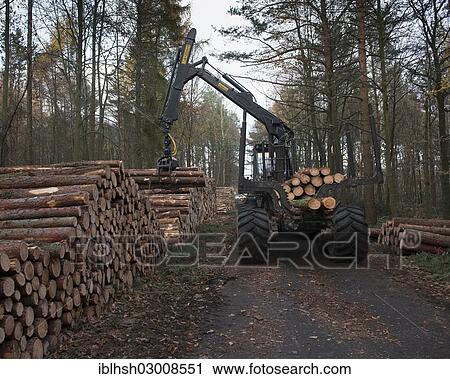 "Forestry forwarder harvesting timber, loading stacked logs, Bonn, Rhineland, North Rhine-Westphalia, Germany, Europe" View Large Photo Image Stock Image - "Forestry forwarder harvesting timber, loading stacked logs, Bonn, Rhineland, North Rhine-Westphalia, Germany, Europe". Fotosearch
