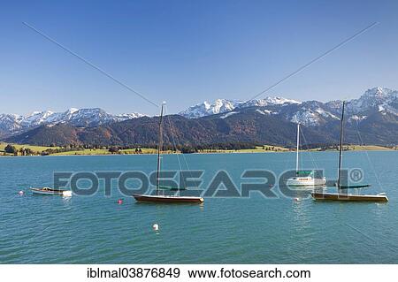 "Forggensee, behind the Allgau Alps, near Fussen, Ostallgau, Allgau, Upper Bavaria, Bavaria, Germany, Europe" View Large Photo Image Stock Photo - "Forggensee, behind the Allgau Alps, near Fussen, Ostallgau, Allgau, Upper Bavaria, Bavaria, Germany, Europe". Fotosearch