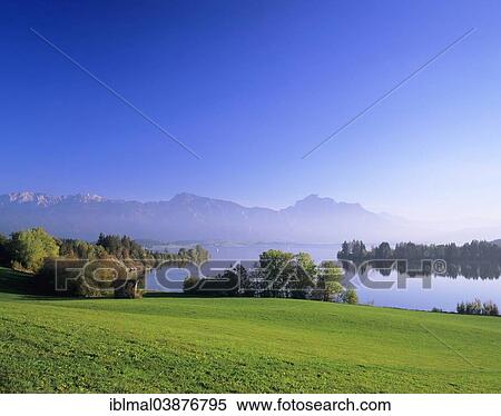 "Forggensee, behind the Allgau Alps, near Fussen, Ostallgau, Allgau, Upper Bavaria, Bavaria, Germany, Europe" View Large Photo Image Stock Photography - "Forggensee, behind the Allgau Alps, near Fussen, Ostallgau, Allgau, Upper Bavaria, Bavaria, Germany, Europe". Fotosearch