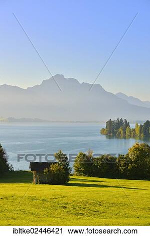 "Forggensee lake near Fuessen, Tannheim Mountains, Ostallgaeu, Allgaeu, Bavaria, Germany, Europe" View Large Photo Image Stock Image - "Forggensee lake near Fuessen, Tannheim Mountains, Ostallgaeu, Allgaeu, Bavaria, Germany, Europe". Fotosearch
