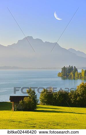 "Forggensee lake, near Fussen, Tannheim Mountains, moon, composing, Ostallgaeu, Allgaeu, Bavaria, Germany, Europe" View Large Photo Image Stock Image - "Forggensee lake, near Fussen, Tannheim Mountains, moon, composing, Ostallgaeu, Allgaeu, Bavaria, Germany, Europe". Fotosearch