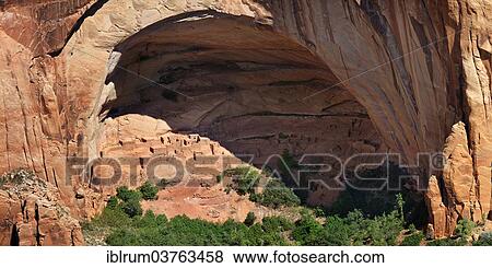 "Former cliff dwellings of the Anasazi, Betatakin Ruinen, Betatakin Canyon, Navajo National Monument, Flagstaff, Arizona, United States, North America" View Large Photo Image Stock Photo - "Former cliff dwellings of the Anasazi, Betatakin Ruinen, Betatakin Canyon, Navajo National Monument, Flagstaff, Arizona, United States, North America". Fotosearch