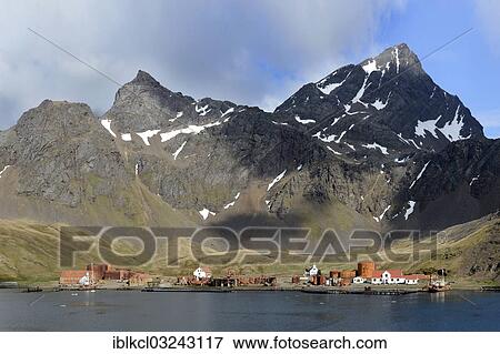 "Former Grytviken whaling station, South Georgia and the South Sandwich Islands, United Kingdom, Antarctica" View Large Photo Image Stock Photo - "Former Grytviken whaling station, South Georgia and the South Sandwich Islands, United Kingdom, Antarctica". Fotosearch
