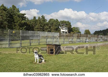 "Former inner German border, death zone, barriers with a dog's lunge line, American observation tower at the back, now memorials and museums, Point Alpha Memorial, Geisa, Rhon Mountains, Thuringia, Germany, Europe" View Large Photo Image Stock Photography - "Former inner German border, death zone, barriers with a dog's lunge line, American observation tower at the back, now memorials and museums, Point Alpha Memorial, Geisa, Rhon Mountains, Thuringia, Germany, Europe". Fotosearch
