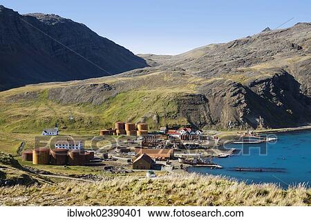 "Former whaling station of Grytviken, King Edward Cove, South Georgia, South Sandwich Islands, British Overseas Territory, South Atlantic Ocean, Subantarctic, Antarctica" View Large Photo Image Stock Image - "Former whaling station of Grytviken, King Edward Cove, South Georgia, South Sandwich Islands, British Overseas Territory, South Atlantic Ocean, Subantarctic, Antarctica". Fotosearch