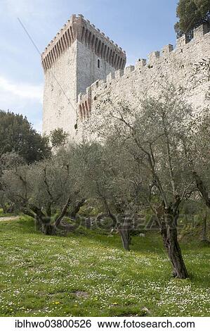 "Fortress wall and tower, Castello del Leone, 1247, Castiglione del Lago, Umbria, Italy, Europe" View Large Photo Image Stock Photograph - "Fortress wall and tower, Castello del Leone, 1247, Castiglione del Lago, Umbria, Italy, Europe". Fotosearch
