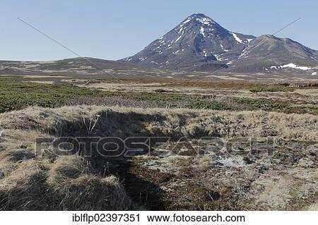 "Foundations of Ainu dwelling and tundra on volcanic island, Onekotan Island, Kuril Islands, Sea of Okhotsk, Sakhalin Oblast, Russian Far East, Russia, Europe" View Large Photo Image Stock Image - "Foundations of Ainu dwelling and tundra on volcanic island, Onekotan Island, Kuril Islands, Sea of Okhotsk, Sakhalin Oblast, Russian Far East, Russia, Europe". Fotosearch