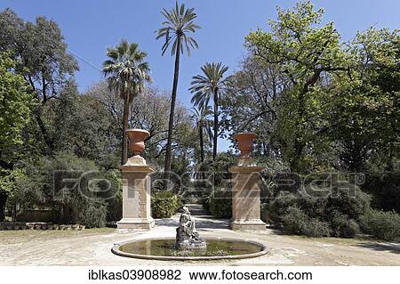 "Fountain and Viale delle Palme, Botanical Garden, Orto Botanico di Palermo, Palermo, Province of Palermo, Sicily, Italy, Europe" View Large Photo Image Stock Image - "Fountain and Viale delle Palme, Botanical Garden, Orto Botanico di Palermo, Palermo, Province of Palermo, Sicily, Italy, Europe". Fotosearch