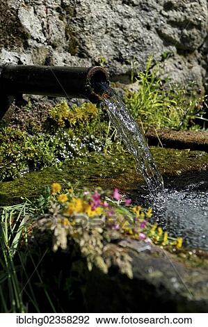 "Fountain, spring, Parc Naturel Regional du Livradois Forez, Natural Regional Park of Livradois Forez, Puy de Dome, Auvergne, France, Europe" View Large Photo Image Stock Image - "Fountain, spring, Parc Naturel Regional du Livradois Forez, Natural Regional Park of Livradois Forez, Puy de Dome, Auvergne, France, Europe". Fotosearch