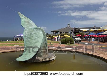 "Fountain with whale fin, Hermanus, Western Cape, South Africa, Africa" View Large Photo Image Stock Image - "Fountain with whale fin, Hermanus, Western Cape, South Africa, Africa". Fotosearch