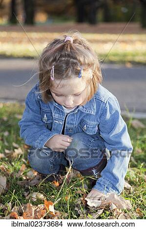 Four-year-old girl collecting acorns in an autumn park View Large Photo Image Picture - Four-year-old girl collecting acorns in an autumn park. Fotosearch