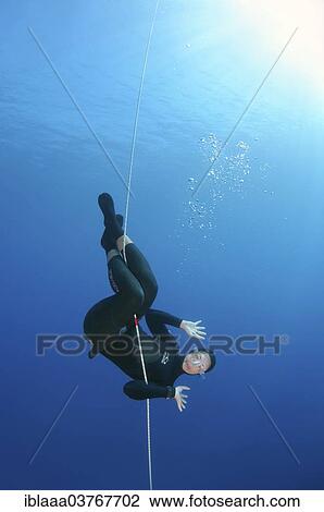 "Freediver, Aegean Sea, Greece, Europe" View Large Photo Image Stock Image - "Freediver, Aegean Sea, Greece, Europe". Fotosearch