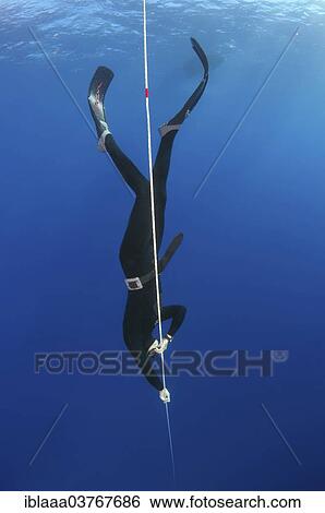 "Freediver, Aegean Sea, Symi, Greece, Europe" View Large Photo Image Stock Photograph - "Freediver, Aegean Sea, Symi, Greece, Europe". Fotosearch