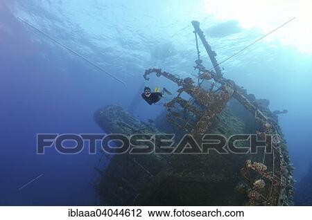 "Freediver diving the Gianis D wreck, Red Sea, Sharm el-Sheikh, Egypt, Africa" View Large Photo Image Stock Image - "Freediver diving the Gianis D wreck, Red Sea, Sharm el-Sheikh, Egypt, Africa". Fotosearch