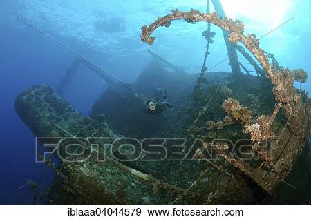 "Freediver diving the Gianis D wreck, Red Sea, Sharm el-Sheikh, Egypt, Africa" View Large Photo Image Stock Photo - "Freediver diving the Gianis D wreck, Red Sea, Sharm el-Sheikh, Egypt, Africa". Fotosearch