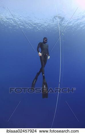 "Freediver, Mediterranean Sea, Kas, Kas, Turkey, Asia" View Large Photo Image Picture - "Freediver, Mediterranean Sea, Kas, Kas, Turkey, Asia". Fotosearch