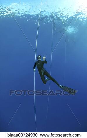 "Freediver, Mediterranean Sea, Kas, Lycia, Province of Antalya, Turkey, Asia" View Large Photo Image Stock Image - "Freediver, Mediterranean Sea, Kas, Lycia, Province of Antalya, Turkey, Asia". Fotosearch