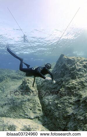 "Freediver, Mediterranean Sea, Kas, Lycia, Province of Antalya, Turkey, Asia" View Large Photo Image Stock Image - "Freediver, Mediterranean Sea, Kas, Lycia, Province of Antalya, Turkey, Asia". Fotosearch