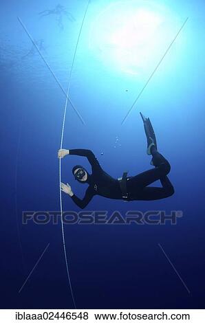 "Freediver, Mediterranean Sea, Kas, Kas, Turkey, Asia" View Large Photo Image Stock Photo - "Freediver, Mediterranean Sea, Kas, Kas, Turkey, Asia". Fotosearch