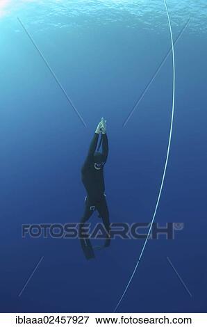 "Freediver, Mediterranean Sea, Kas, Kas, Turkey, Asia" View Large Photo Image Stock Photo - "Freediver, Mediterranean Sea, Kas, Kas, Turkey, Asia". Fotosearch