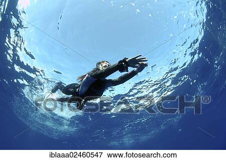 "Freediver, Mediterranean Sea, Kas, Kas, Turkey, Asia" View Large Photo Image Stock Photo - "Freediver, Mediterranean Sea, Kas, Kas, Turkey, Asia". Fotosearch
