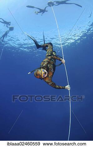 "Freediver, Mediterranean Sea, Kas, Kas, Turkey, Asia" View Large Photo Image Stock Photo - "Freediver, Mediterranean Sea, Kas, Kas, Turkey, Asia". Fotosearch