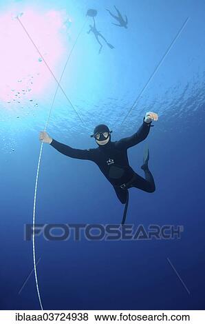 "Freediver, Mediterranean Sea, Kas, Lycia, Province of Antalya, Turkey, Asia" View Large Photo Image Stock Photo - "Freediver, Mediterranean Sea, Kas, Lycia, Province of Antalya, Turkey, Asia". Fotosearch